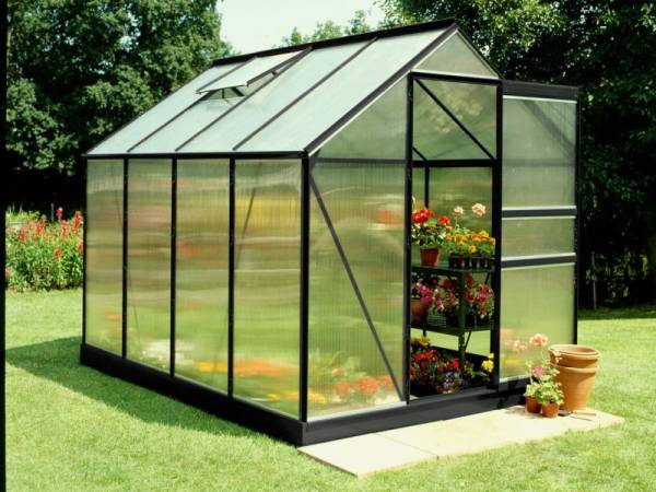 Halls Gewächshaus Popular 86 Schwarz SDPL