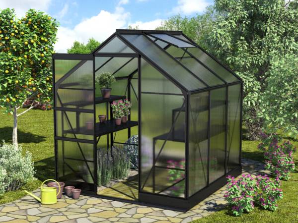 Vitavia Gewächshaus Apollo 3800 HKP 4 mm Schwarz Vitavia Gewächshaus Apollo 3800 HKP 4 mm Schwarz