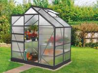 Vitavia Gewächshaus Venus 2500 HKP 6 mm Schwarz