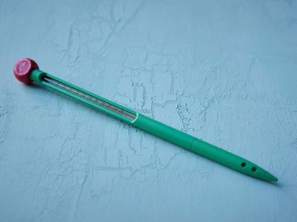 Juliana Erdbodenthermometer