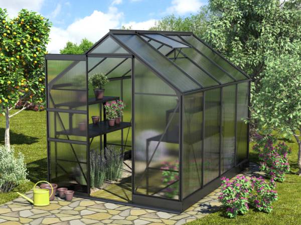 Vitavia Gewächshaus Apollo 5000 HKP 6 mm Schwarz Vitavia Gewächshaus Apollo 5000 HKP 6 mm Schwarz