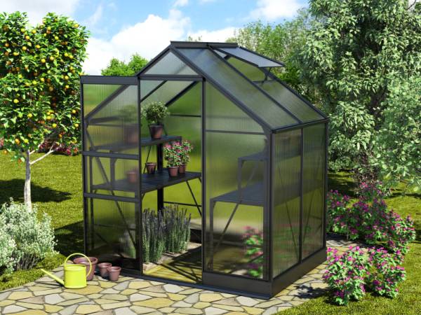 Vitavia Gewächshaus Apollo 2500 HKP 6 mm Schwarz Vitavia Gewächshaus Apollo 2500 HKP 6 mm Schwarz