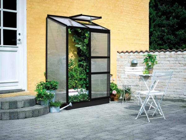 Halls Gewächshaus Altan 2 Schwarz SDPL