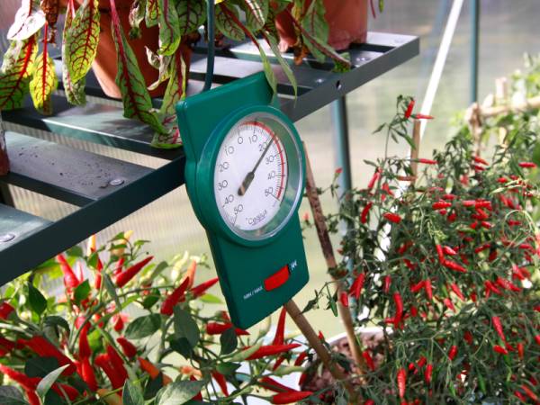 Vitavia Min-Max Thermometer