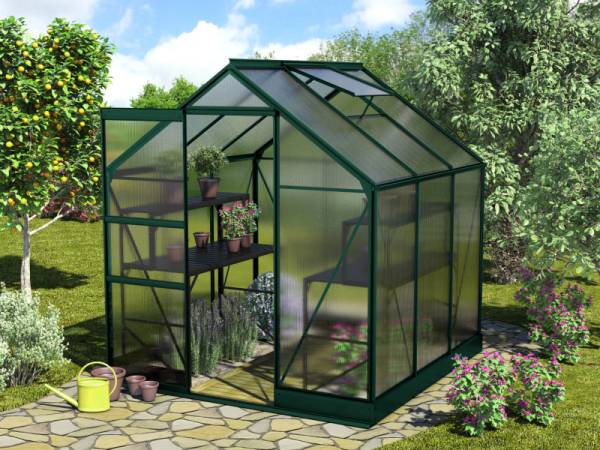 Vitavia Gewächshaus Apollo 3800 HKP 6 mm Smaragd Vitavia Gewächshaus Apollo 3800 HKP 6 mm Smaragd